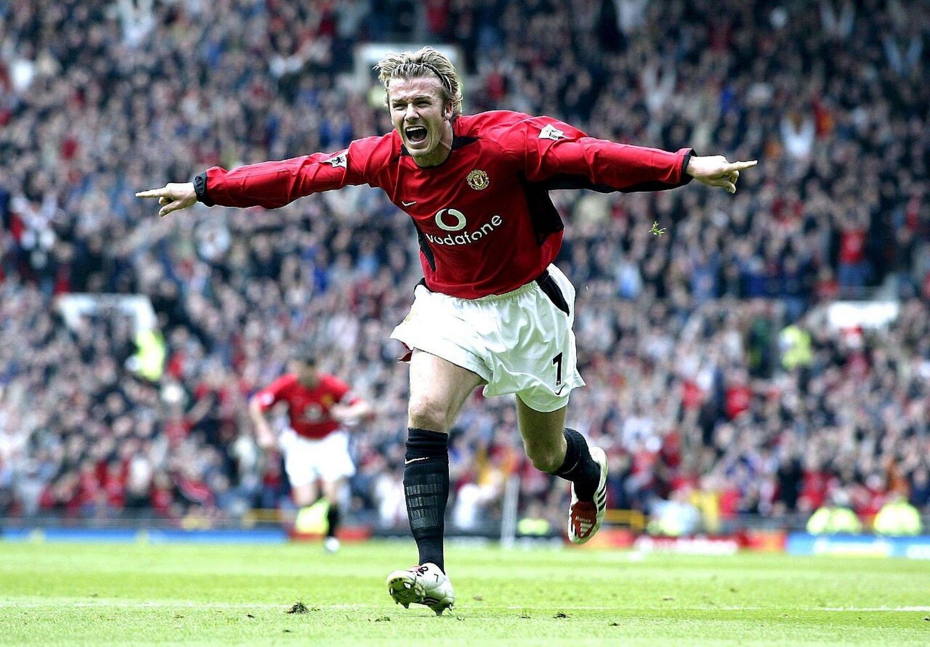 仅彰显了切 仅彰显了切